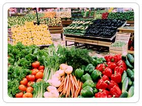 Disinfection and Decay Control